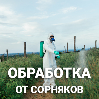 ger-obrabotka